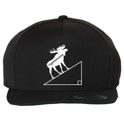 Geometry Hypotenuse Hypotemoose Wool Snapback Cap
