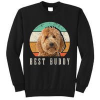 Goldendoodle Hi My Name Is Stop That Funny Dog Doodle Mom Tall Sweatshirt