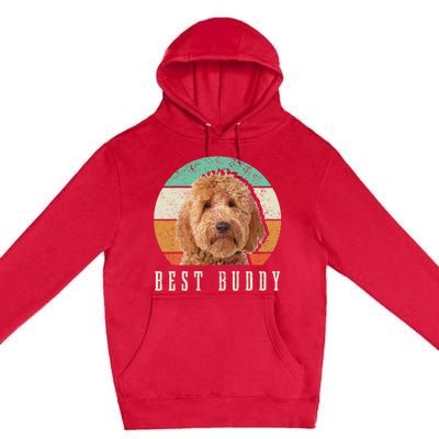 Goldendoodle Hi My Name Is Stop That Funny Dog Doodle Mom Premium Pullover Hoodie