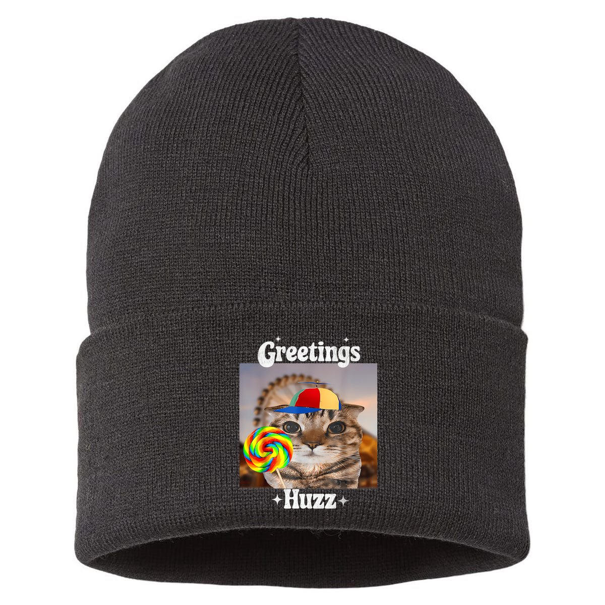 Greetings Huzz Meme Funny Cat Lollipop Sustainable Knit Beanie