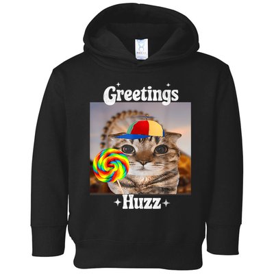 Greetings Huzz Meme Funny Cat Lollipop Toddler Hoodie