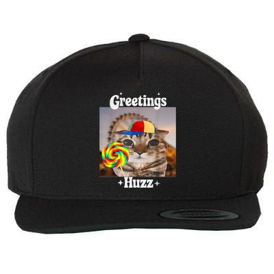 Greetings Huzz Meme Funny Cat Lollipop Wool Snapback Cap