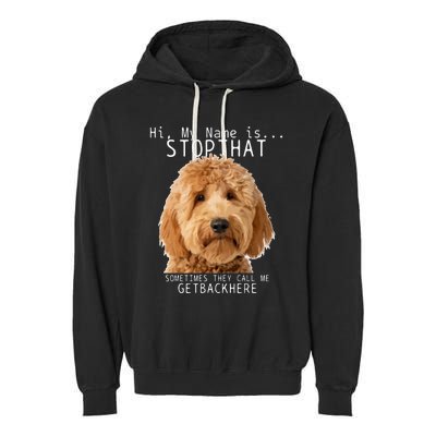 Goldendoodle Hi My Name Is Stop That Funny Dog Doodle Mom Garment-Dyed Fleece Hoodie