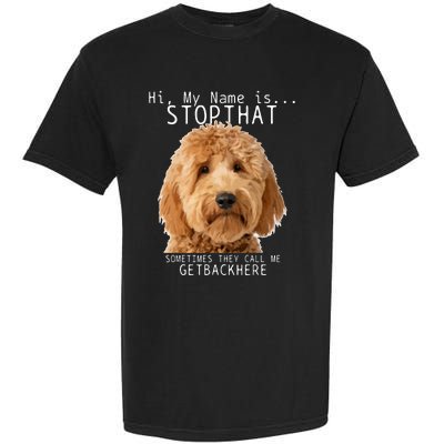 Goldendoodle Hi My Name Is Stop That Funny Dog Doodle Mom Garment-Dyed Heavyweight T-Shirt