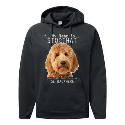 Goldendoodle Hi My Name Is Stop That Funny Dog Doodle Mom Performance Fleece Hoodie