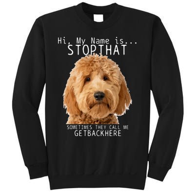 Goldendoodle Hi My Name Is Stop That Funny Dog Doodle Mom Sweatshirt