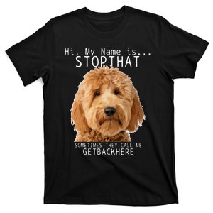 Goldendoodle Hi My Name Is Stop That Funny Dog Doodle Mom T-Shirt