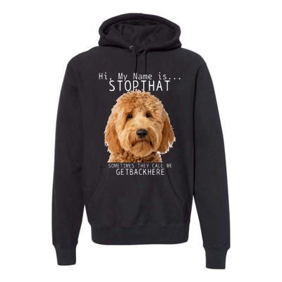 Goldendoodle Hi My Name Is Stop That Funny Dog Doodle Mom Premium Hoodie