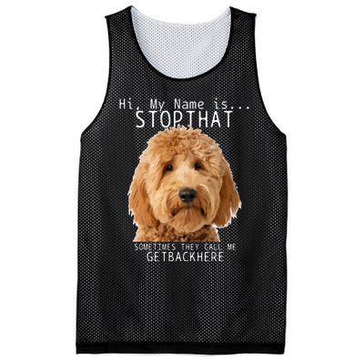 Goldendoodle Hi My Name Is Stop That Funny Dog Doodle Mom Mesh Reversible Basketball Jersey Tank