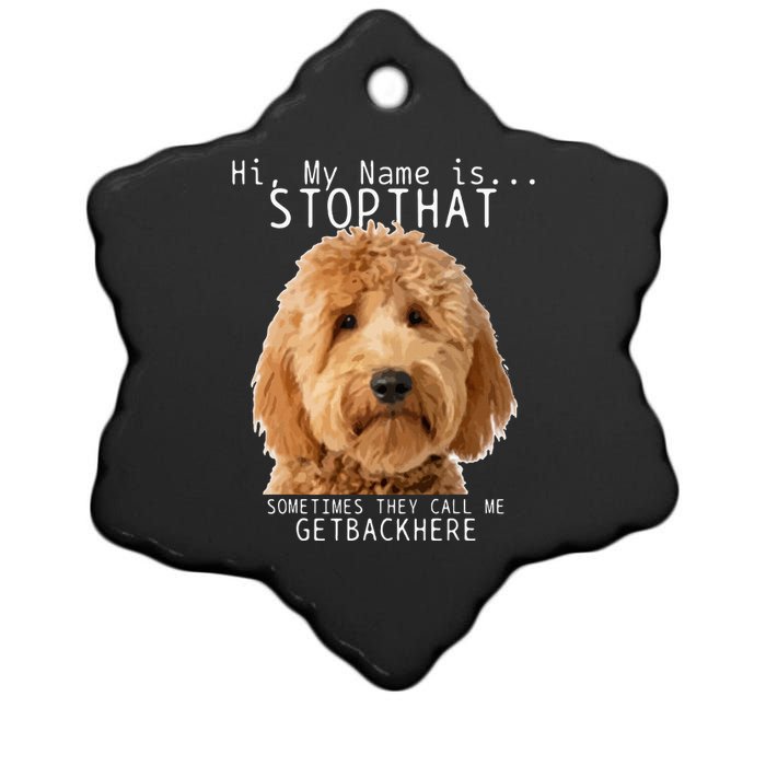 Goldendoodle Hi My Name Is Stop That Funny Dog Doodle Mom Ceramic Star Ornament