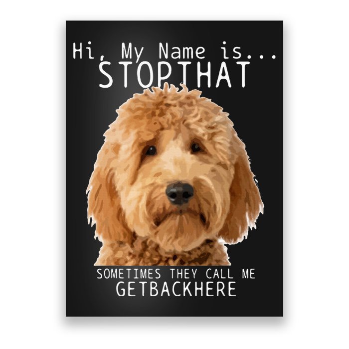 Goldendoodle Hi My Name Is Stop That Funny Dog Doodle Mom Poster