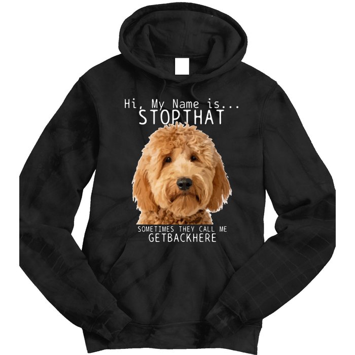 Goldendoodle Hi My Name Is Stop That Funny Dog Doodle Mom Tie Dye Hoodie