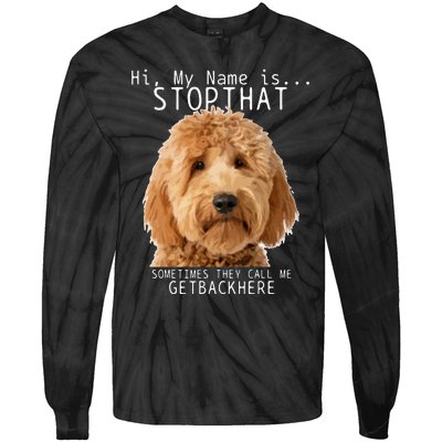 Goldendoodle Hi My Name Is Stop That Funny Dog Doodle Mom Tie-Dye Long Sleeve Shirt