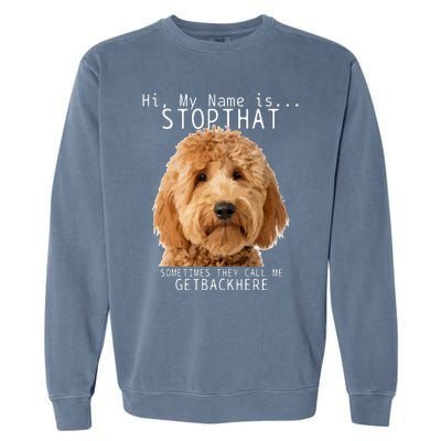 Goldendoodle Hi My Name Is Stop That Funny Dog Doodle Mom Garment-Dyed Sweatshirt