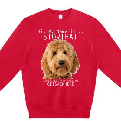 Goldendoodle Hi My Name Is Stop That Funny Dog Doodle Mom Premium Crewneck Sweatshirt