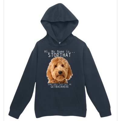 Goldendoodle Hi My Name Is Stop That Funny Dog Doodle Mom Urban Pullover Hoodie