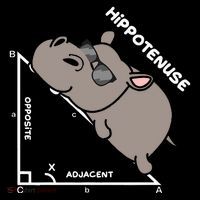 Geometry Hypotenuse Math Mathematics Teacher Button