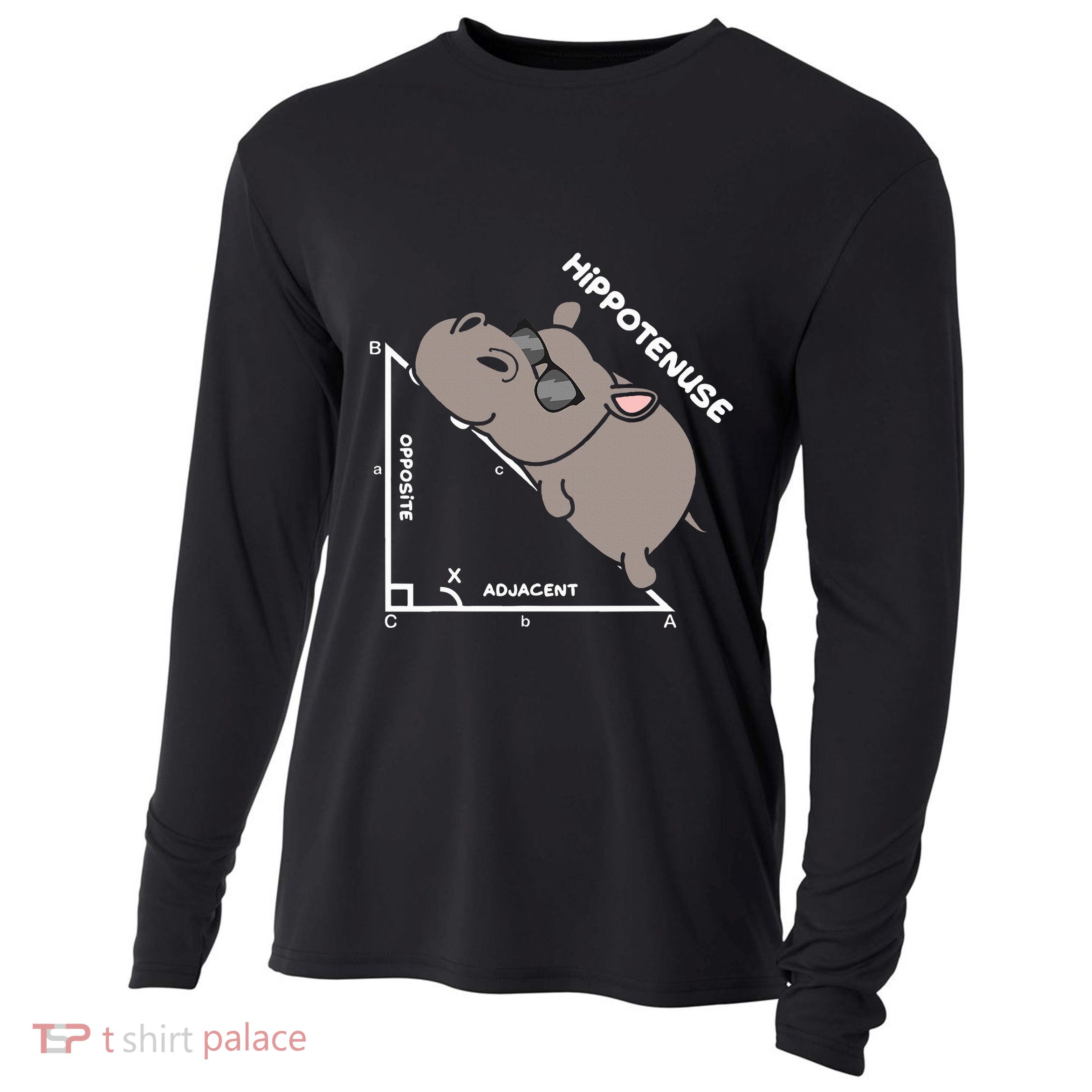 Geometry Hypotenuse Math Mathematics Teacher Cooling Performance Long Sleeve Crew