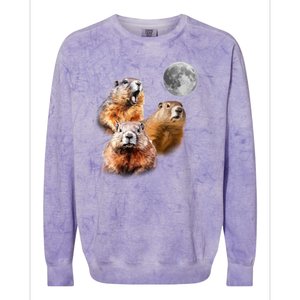 Groundhog Head Moon Funny Groundhog Day Colorblast Crewneck Sweatshirt