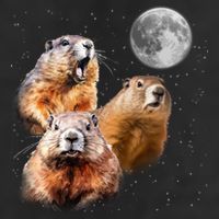 Groundhog Head Moon Funny Groundhog Day Garment-Dyed Heavyweight T-Shirt