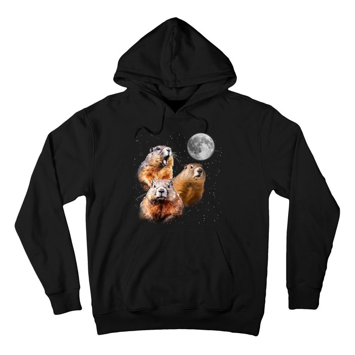 Groundhog Head Moon Funny Groundhog Day Hoodie