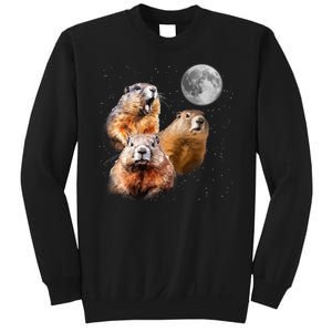 Groundhog Head Moon Funny Groundhog Day Sweatshirt