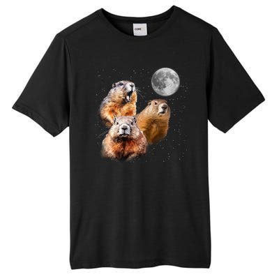 Groundhog Head Moon Funny Groundhog Day Tall Fusion ChromaSoft Performance T-Shirt