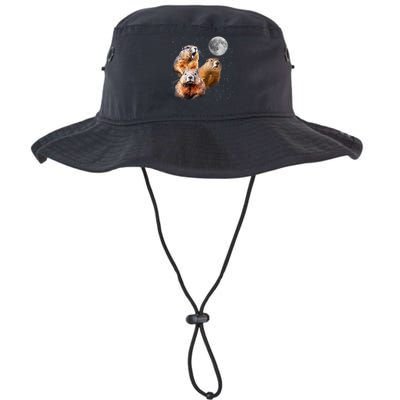 Groundhog Head Moon Funny Groundhog Day Bucket Hat