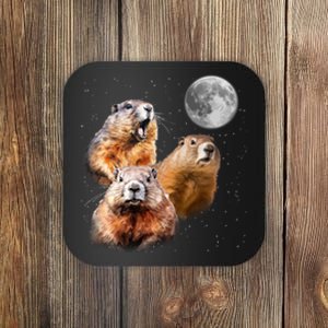 Groundhog Head Moon Funny Groundhog Day Coaster