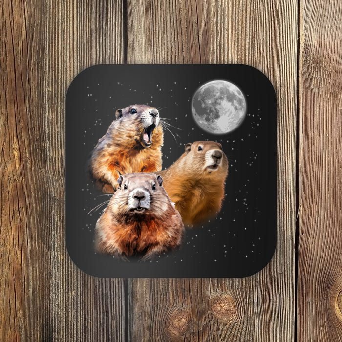 Groundhog Head Moon Funny Groundhog Day Coaster