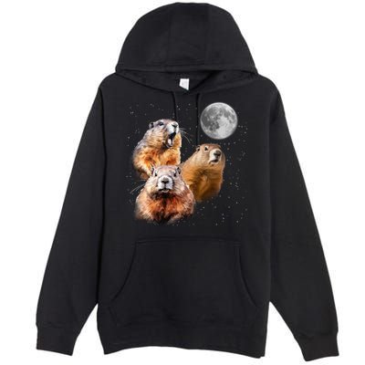 Groundhog Head Moon Funny Groundhog Day Premium Pullover Hoodie