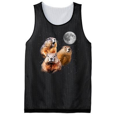 Groundhog Head Moon Funny Groundhog Day Mesh Reversible Basketball Jersey Tank