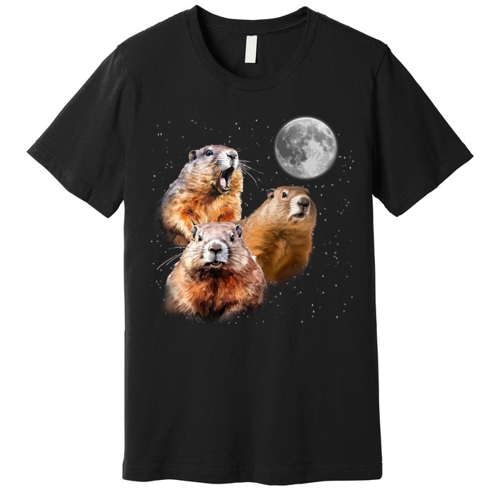 Groundhog Head Moon Funny Groundhog Day Premium T-Shirt