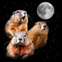 Groundhog Head Moon Funny Groundhog Day Premium T-Shirt