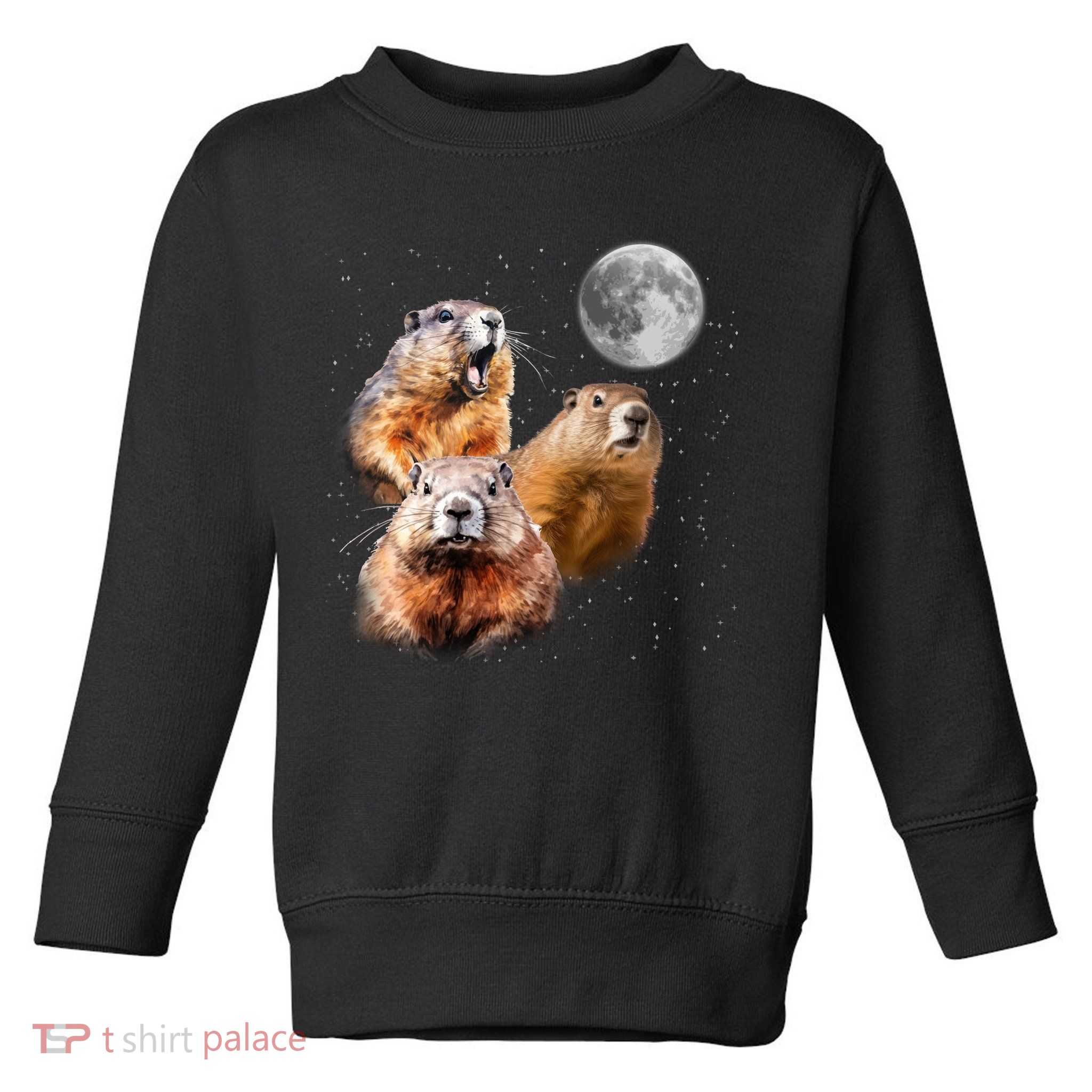 Groundhog Head Moon Funny Groundhog Day Toddler Sweatshirt