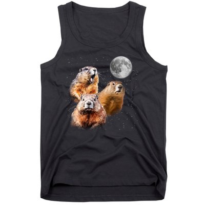 Groundhog Head Moon Funny Groundhog Day Tank Top