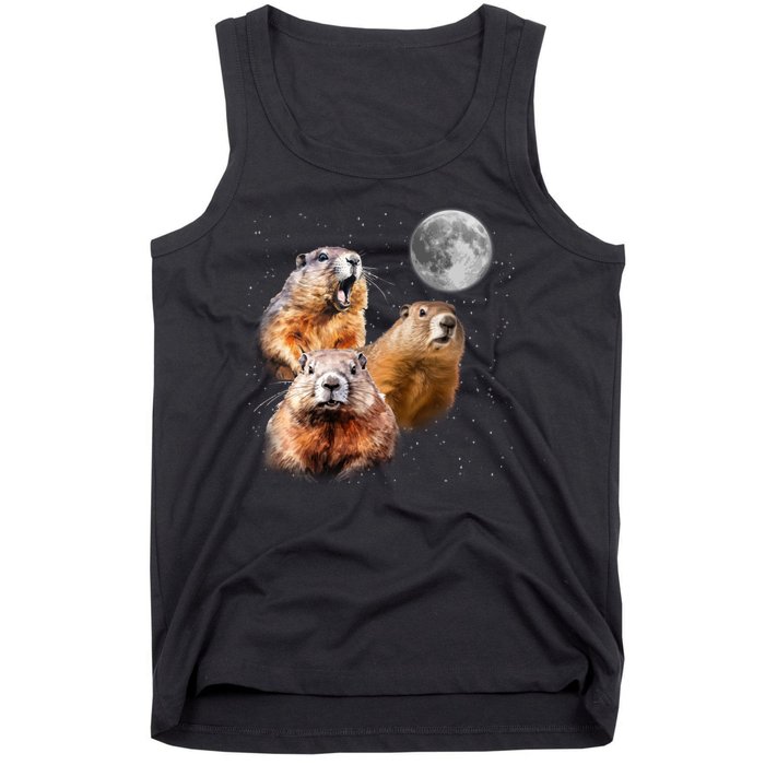 Groundhog Head Moon Funny Groundhog Day Tank Top