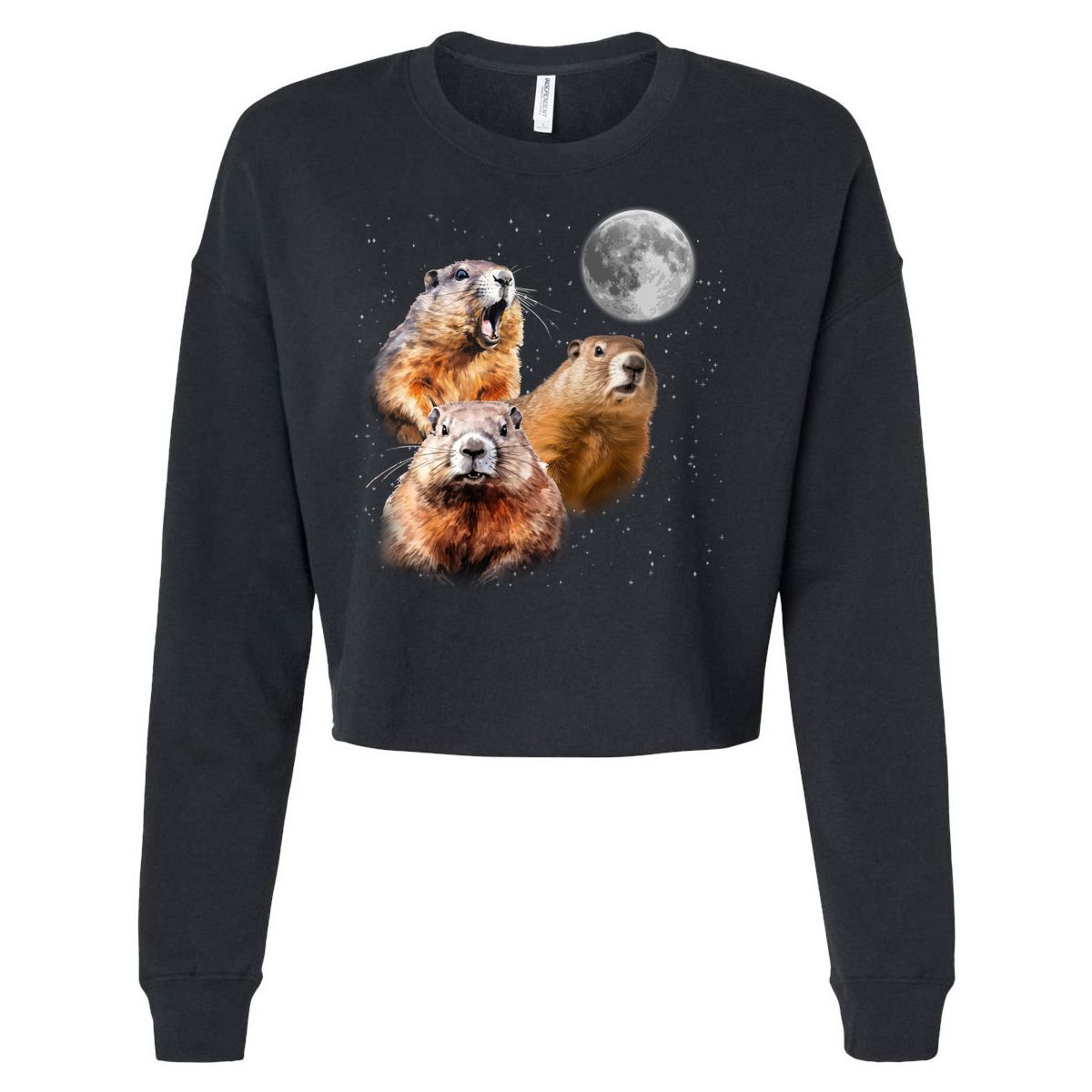 Groundhog Head Moon Funny Groundhog Day Cropped Pullover Crew