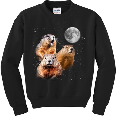 Groundhog Head Moon Funny Groundhog Day Kids Sweatshirt