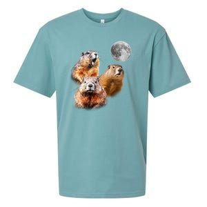 Groundhog Head Moon Funny Groundhog Day Sueded Cloud Jersey T-Shirt