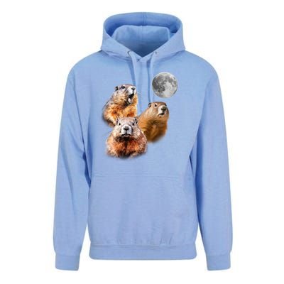 Groundhog Head Moon Funny Groundhog Day Unisex Surf Hoodie