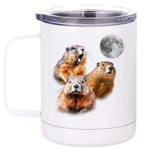 Groundhog Head Moon Funny Groundhog Day 12 oz Stainless Steel Tumbler Cup