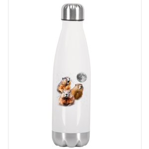 Groundhog Head Moon Funny Groundhog Day Stainless Steel Insulated Water Bottle