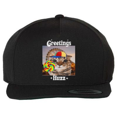Greetings Huzz Meme Funny Cat Lollipop Wool Snapback Cap