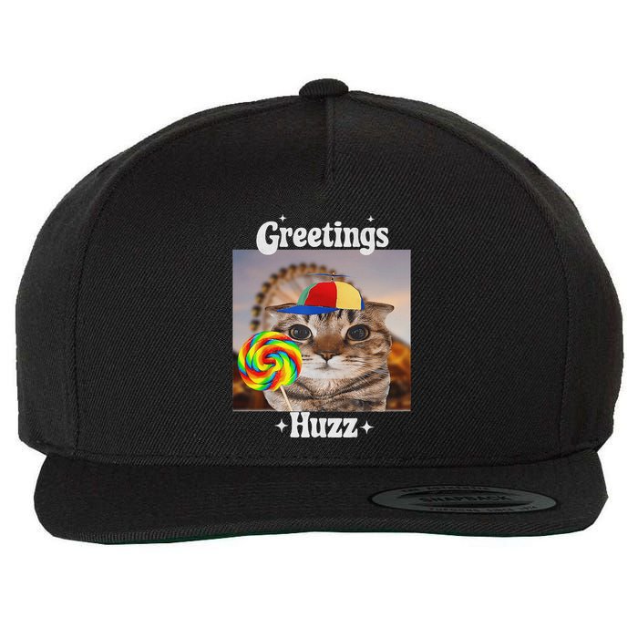 Greetings Huzz Meme Funny Cat Lollipop Wool Snapback Cap