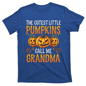 Grandma Halloween The Cutest Little Pumpkins Call Me Grandma T-Shirt