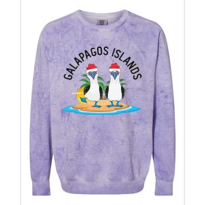 Galapagos Islands Blue Footed Booby Bird Christmas Colorblast Crewneck Sweatshirt