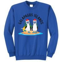 Galapagos Islands Blue Footed Booby Bird Christmas Sweatshirt