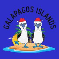 Galapagos Islands Blue Footed Booby Bird Christmas 16 in Basic Backpack