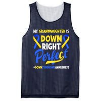 Granddaughter Is Down Right Perfect Down Syndrome Awareness Mesh Reversible Basketball Jersey Tank